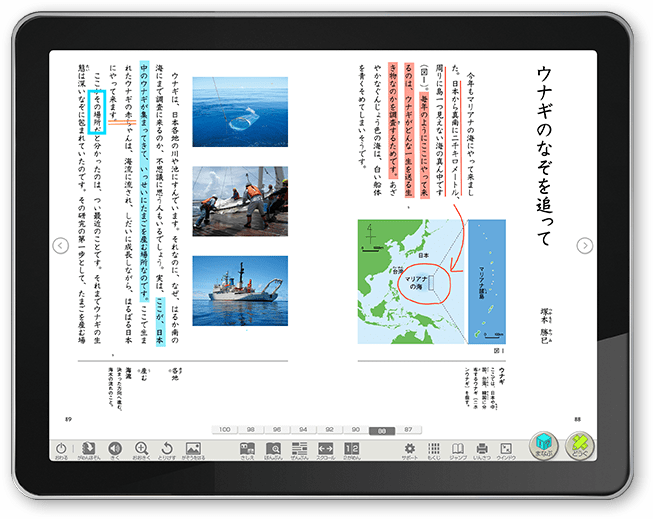 4年下「ウナギのなぞを追って」